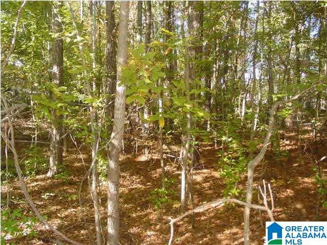 Choccolocco Road, Unit 2 43 Anniston, AL 36201 - Photo 9 of 10