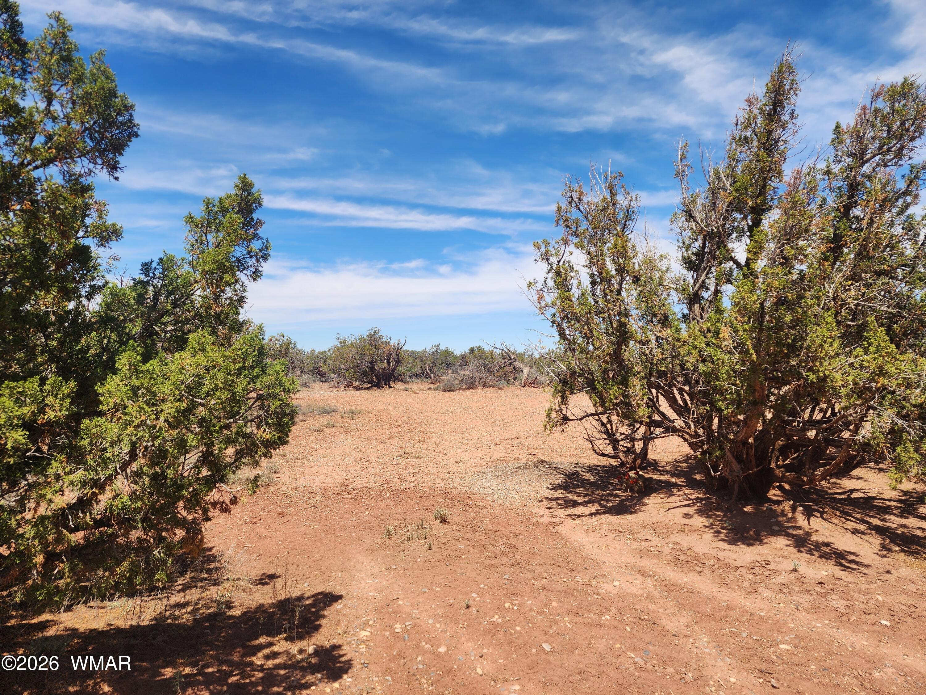 8564 Pueblo Lane Snowflake, AZ 85937 - Photo 25 of 39