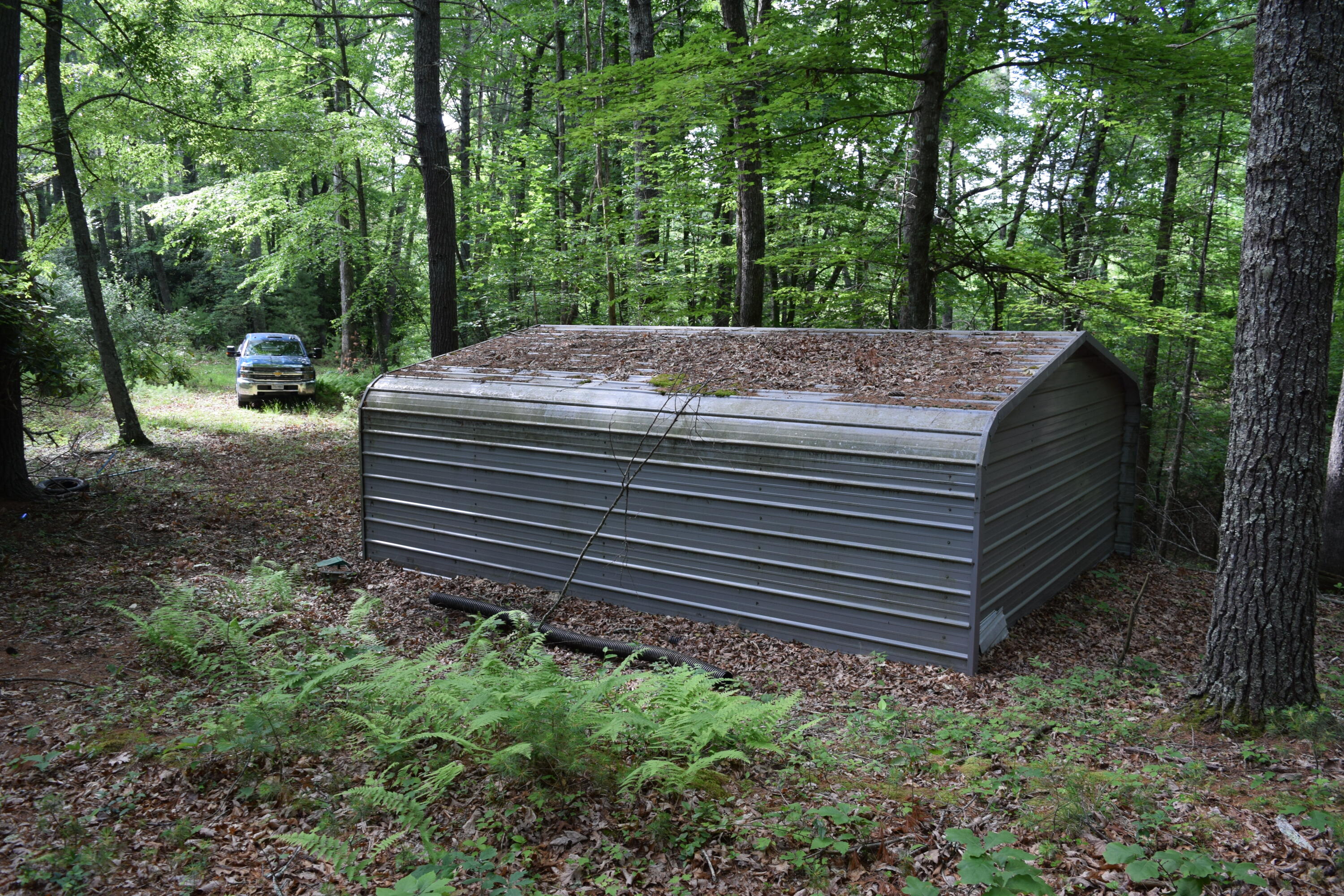 1866 Firehouse Road Northwest Willis, VA 24380 - Photo 14 of 78 a view of a yard with large trees