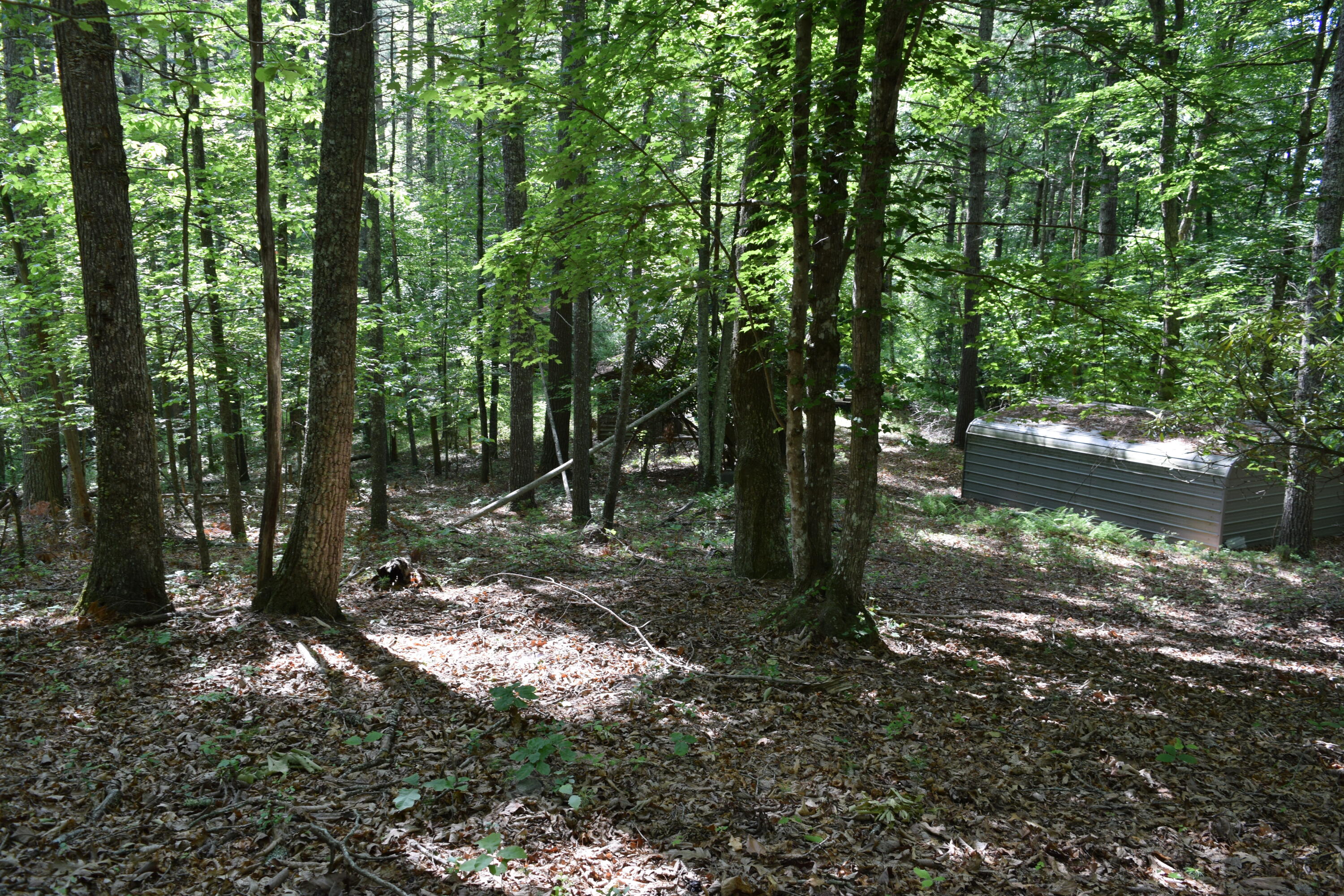1866 Firehouse Road Northwest Willis, VA 24380 - Photo 19 of 78 a backyard of a house with lots of green space
