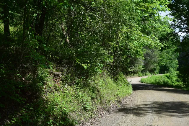 a view of a street with a trees
