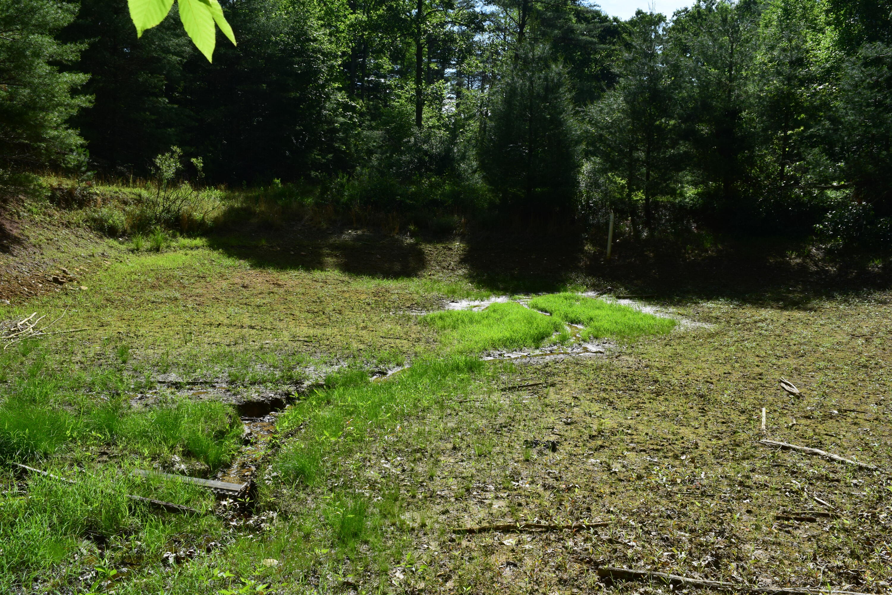 1866 Firehouse Road Northwest Willis, VA 24380 - Photo 22 of 78 a view of outdoor space and yard