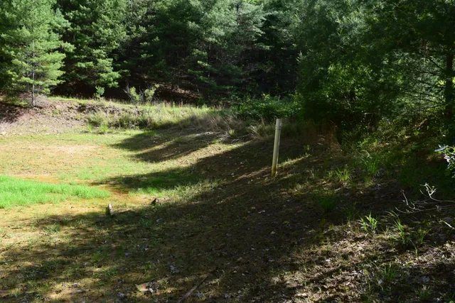 a view of outdoor space with lots of trees