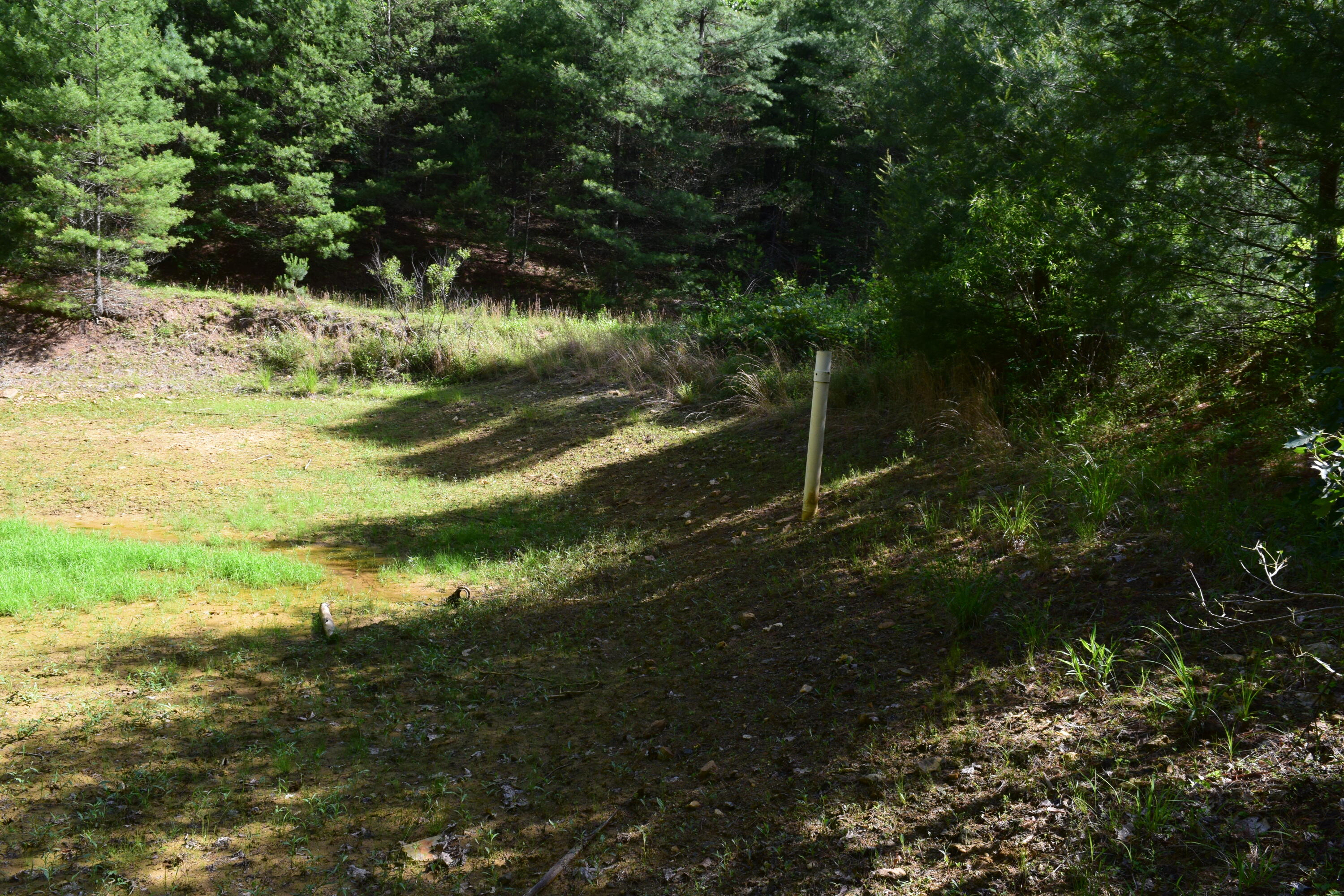 1866 Firehouse Road Northwest Willis, VA 24380 - Photo 23 of 78 DSC_1356