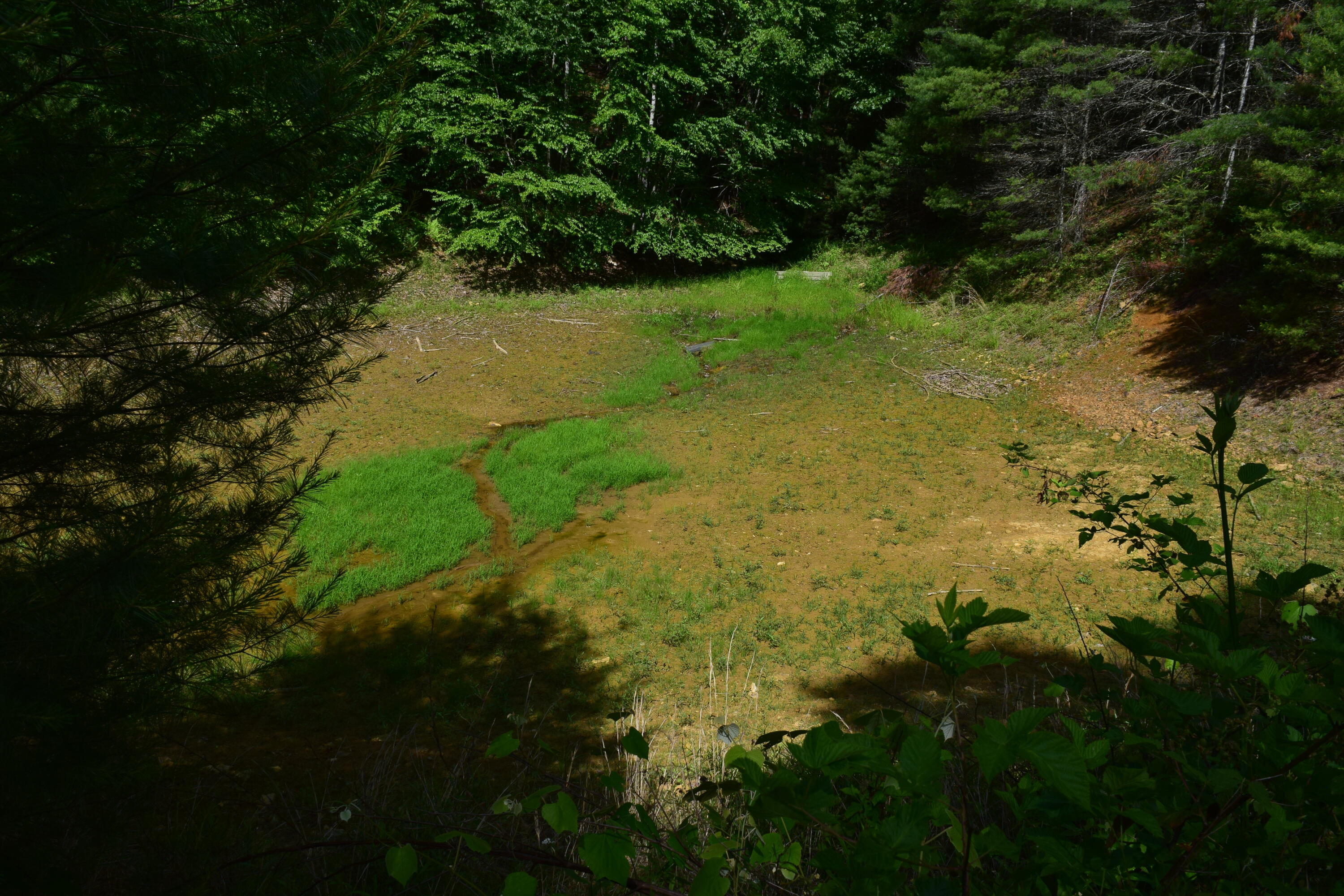 1866 Firehouse Road Northwest Willis, VA 24380 - Photo 24 of 78 a view of a lake with a yard