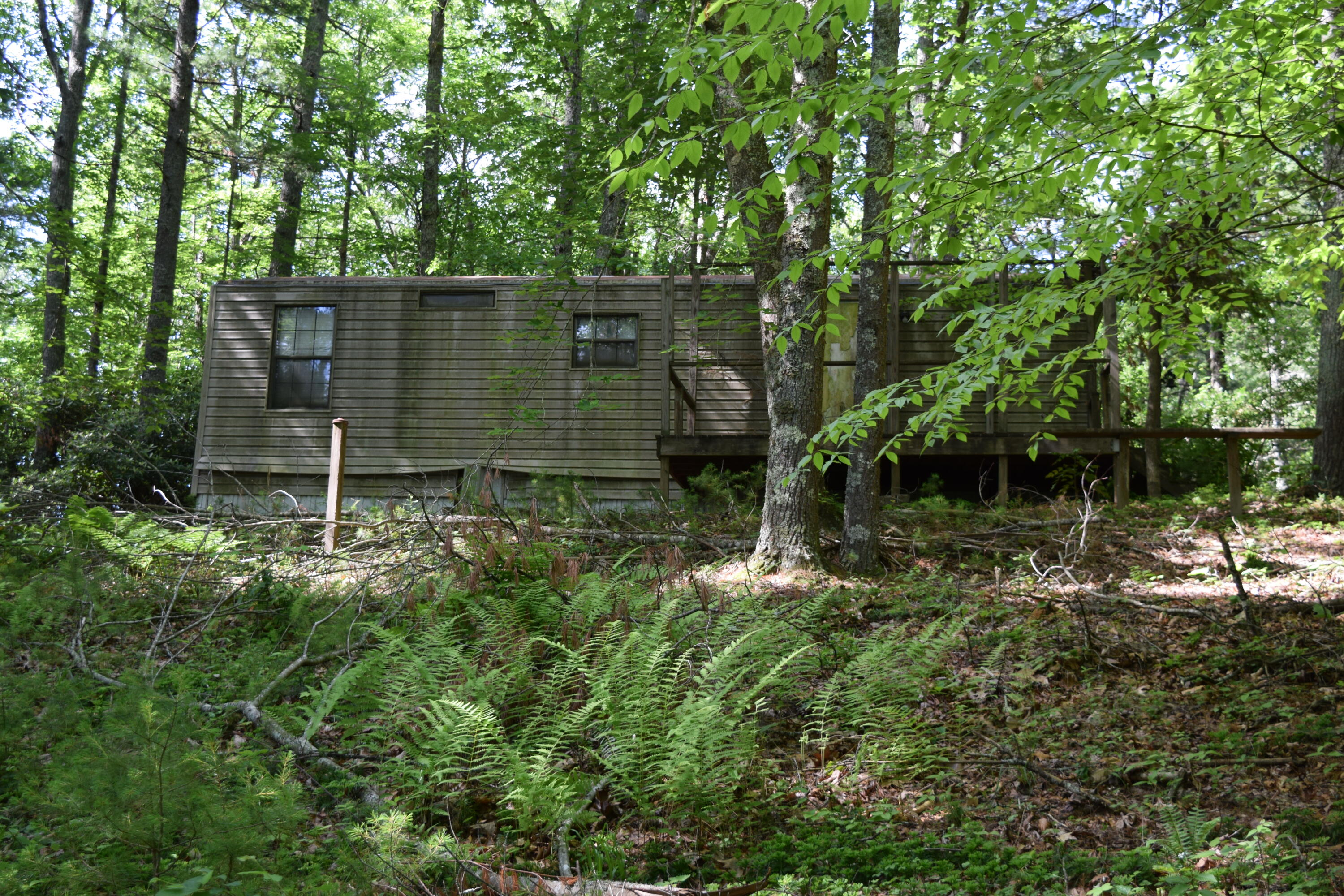 1866 Firehouse Road Northwest Willis, VA 24380 - Photo 26 of 78 a view of a garden