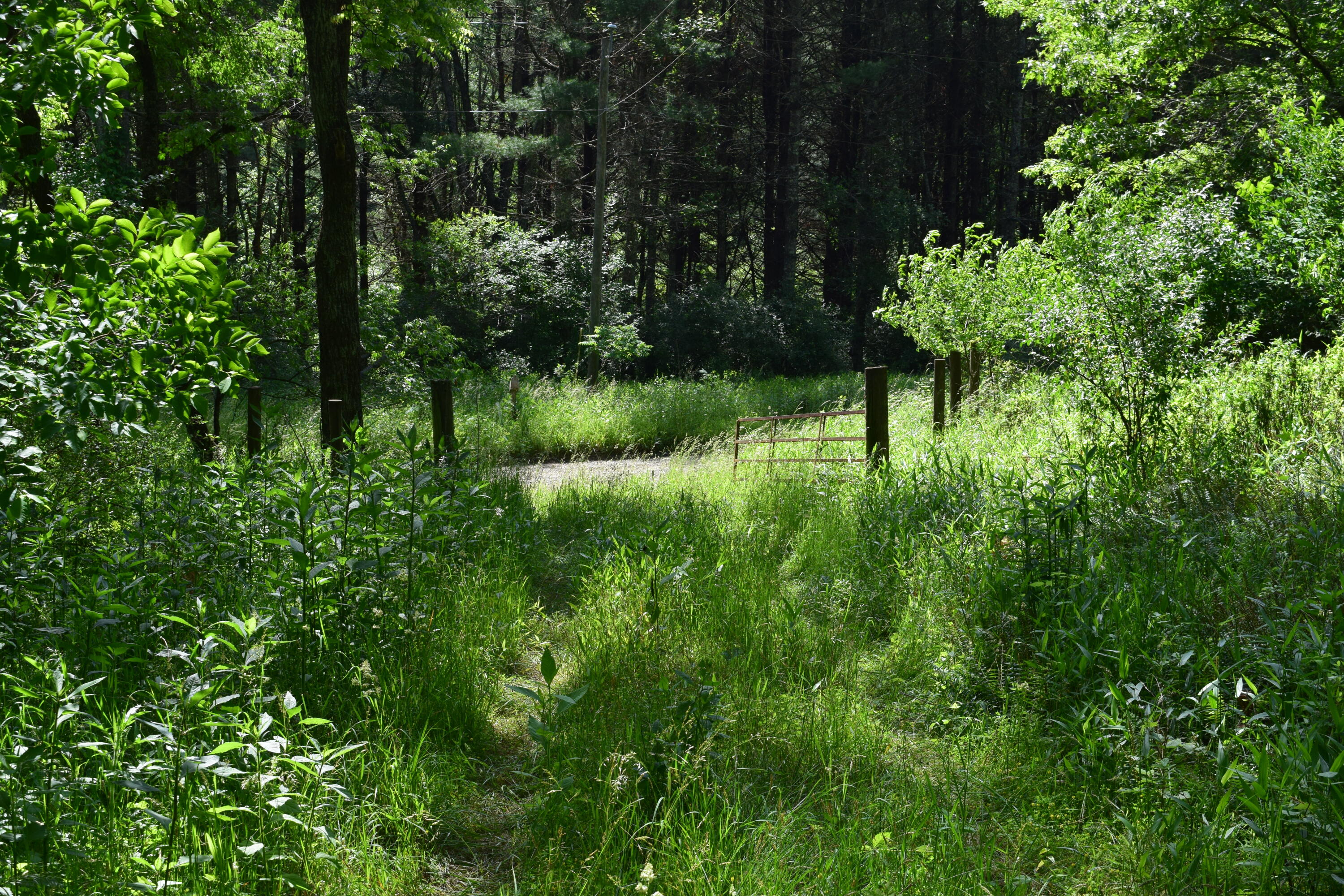 1866 Firehouse Road Northwest Willis, VA 24380 - Photo 32 of 78 DSC_1366
