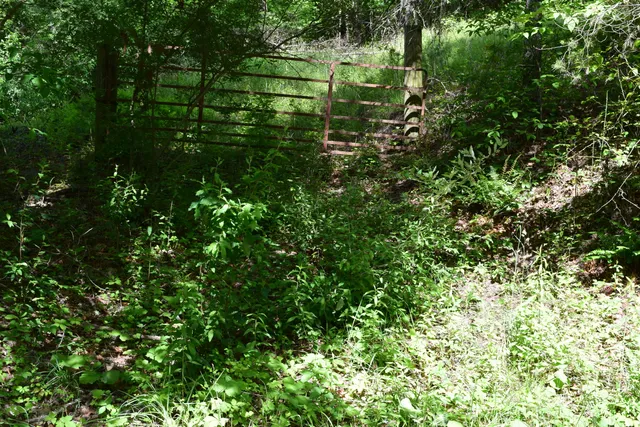 a backyard of a house
