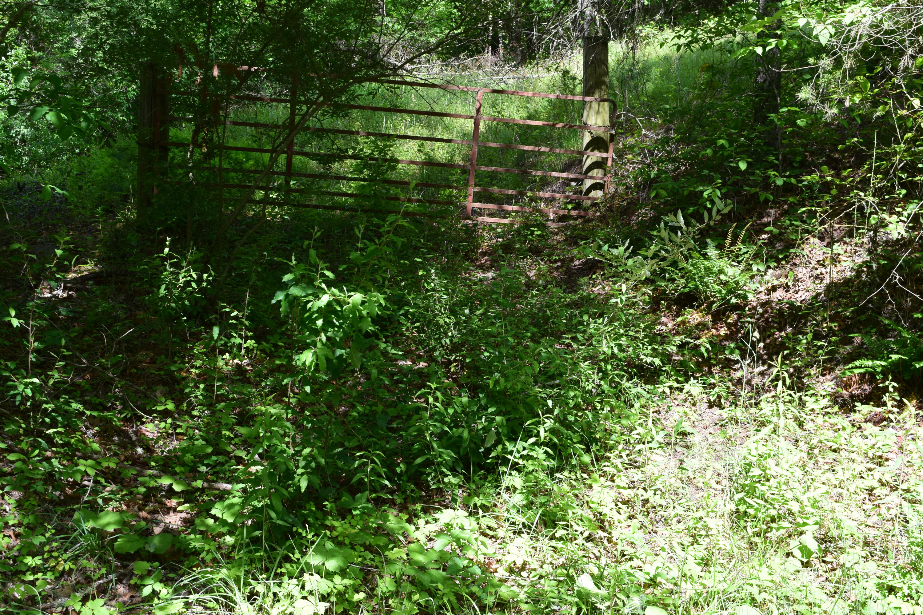 1866 Firehouse Road Northwest Willis, VA 24380 - Photo 34 of 78 DSC_1368