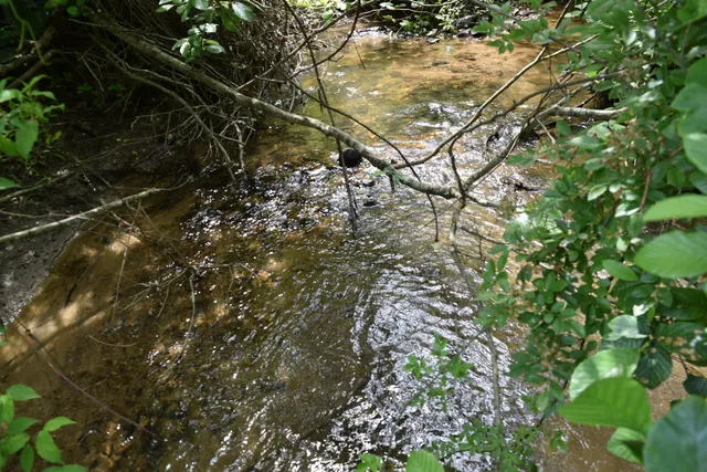 a view of outdoor space and yard