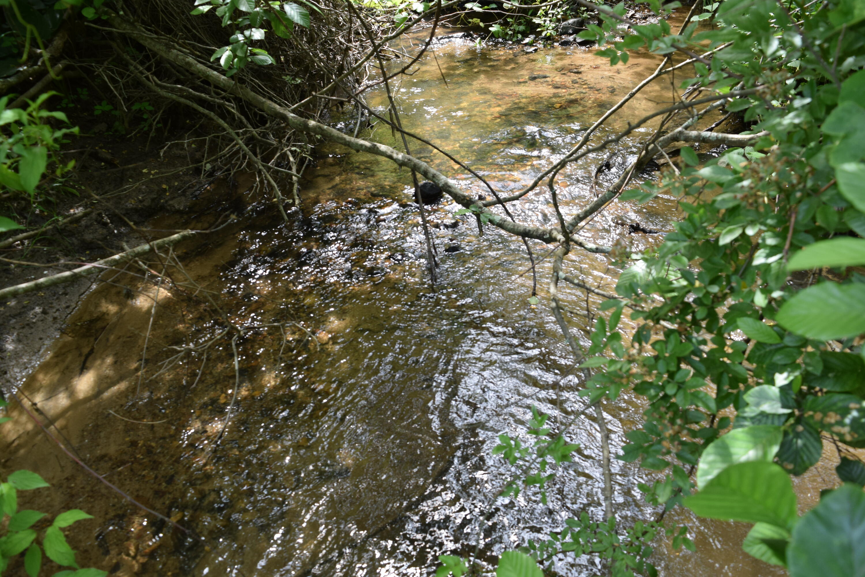 1866 Firehouse Road Northwest Willis, VA 24380 - Photo 38 of 78 DSC_1379
