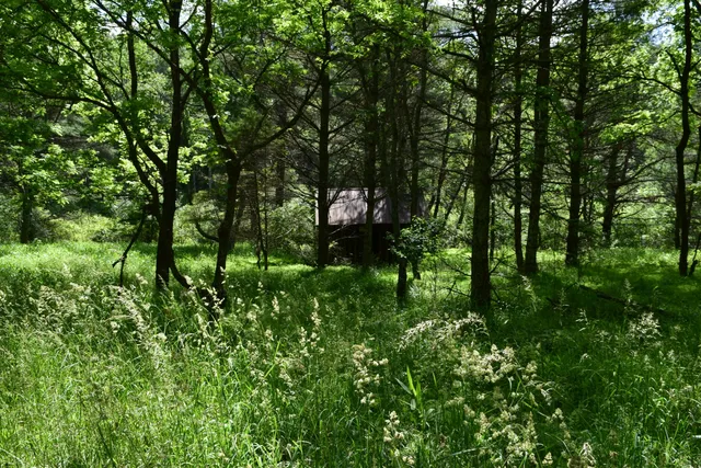 a view of outdoor space and garden