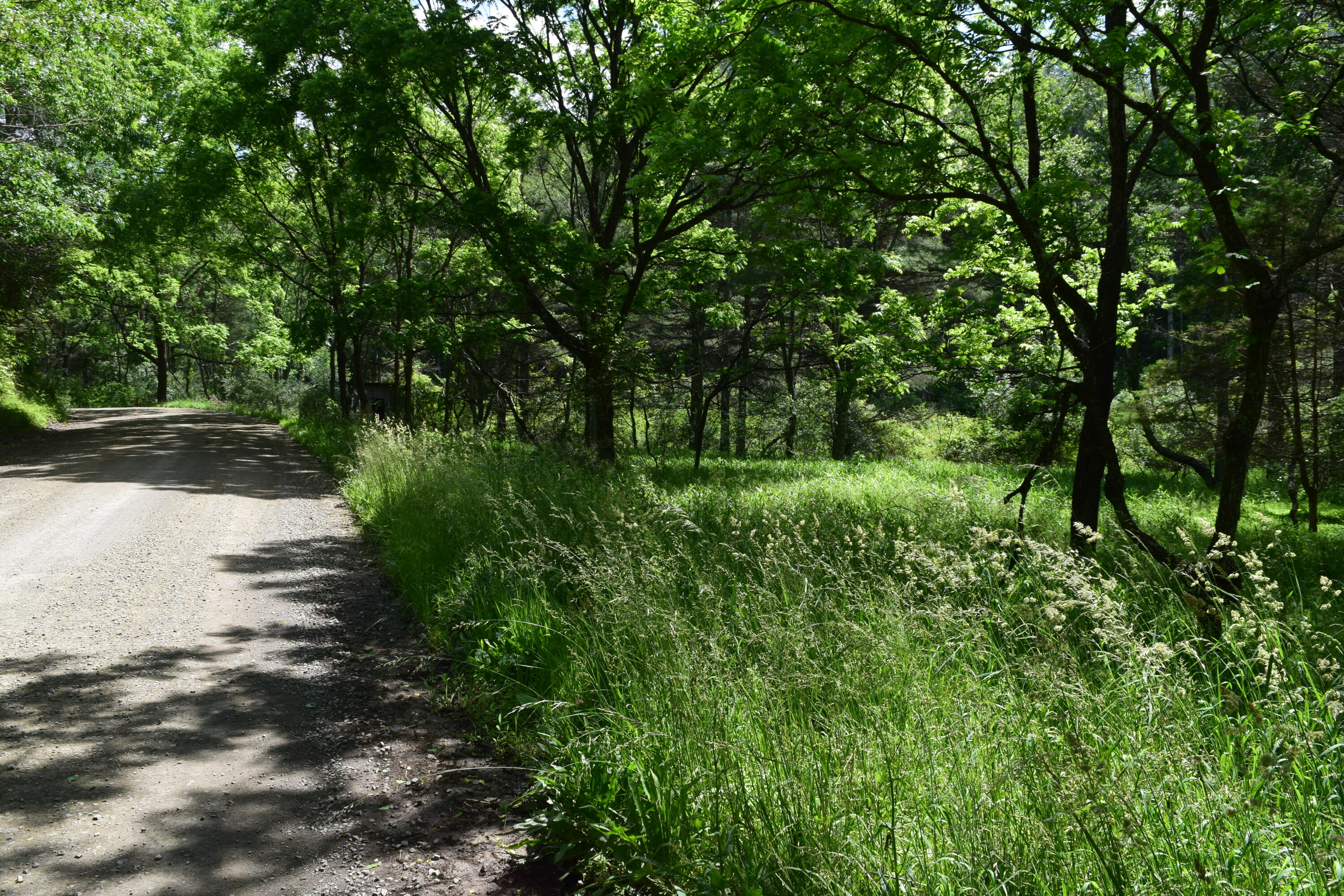 1866 Firehouse Road Northwest Willis, VA 24380 - Photo 44 of 78 DSC_1395