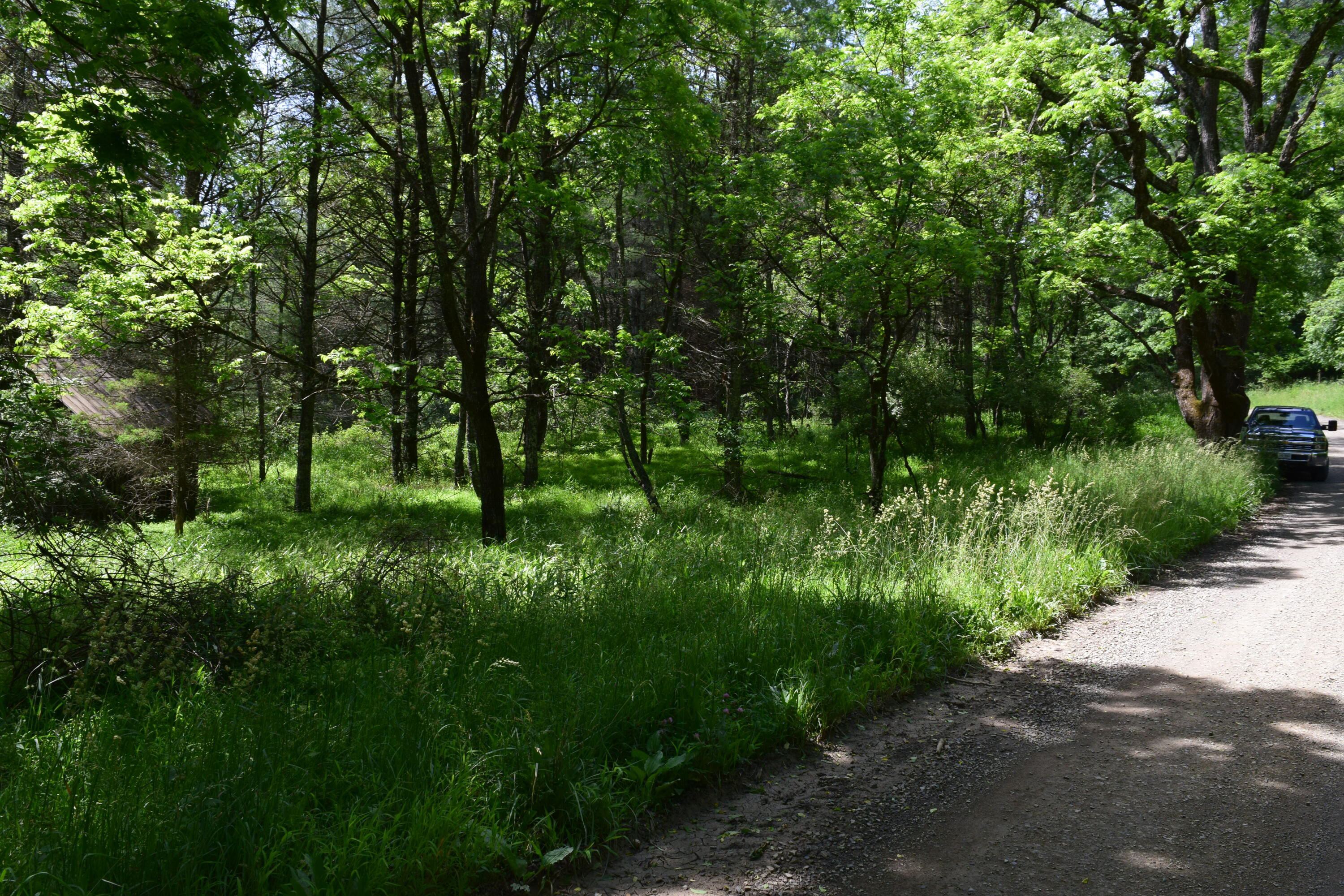 1866 Firehouse Road Northwest Willis, VA 24380 - Photo 45 of 78 DSC_1397