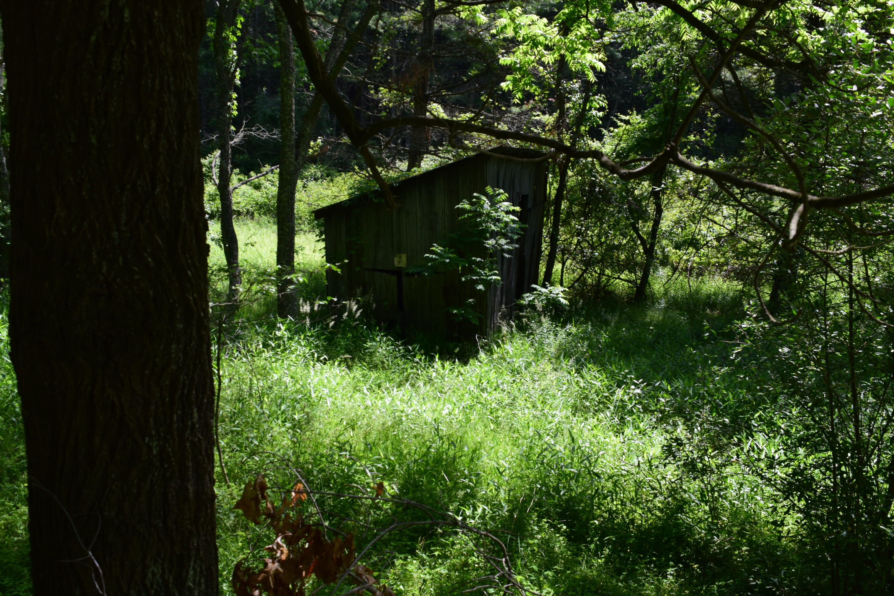 1866 Firehouse Road Northwest Willis, VA 24380 - Photo 47 of 78 DSC_1400