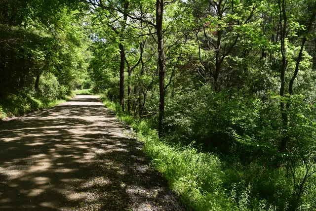a view of a street both side of a house