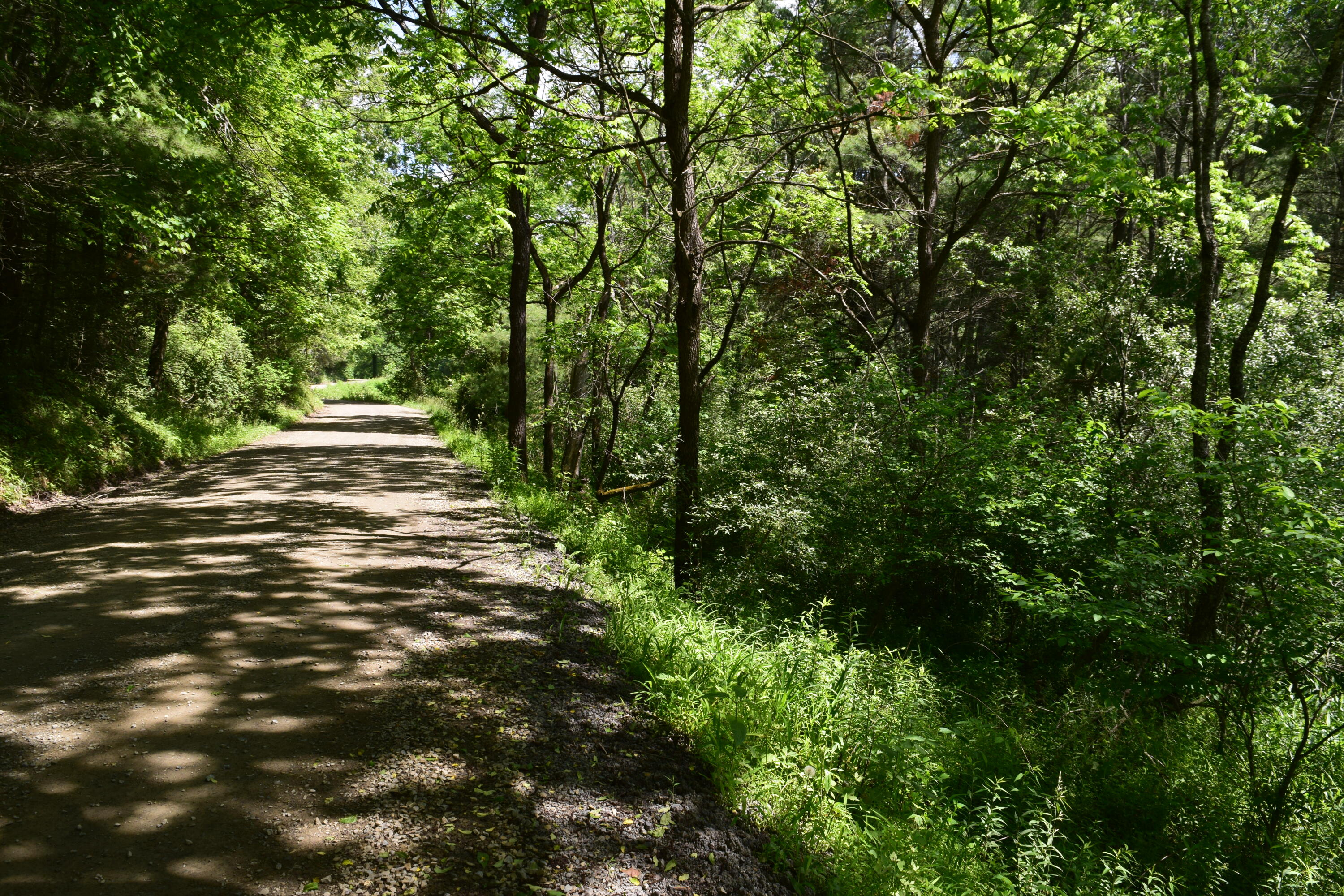 1866 Firehouse Road Northwest Willis, VA 24380 - Photo 48 of 78 a view of yard with green space