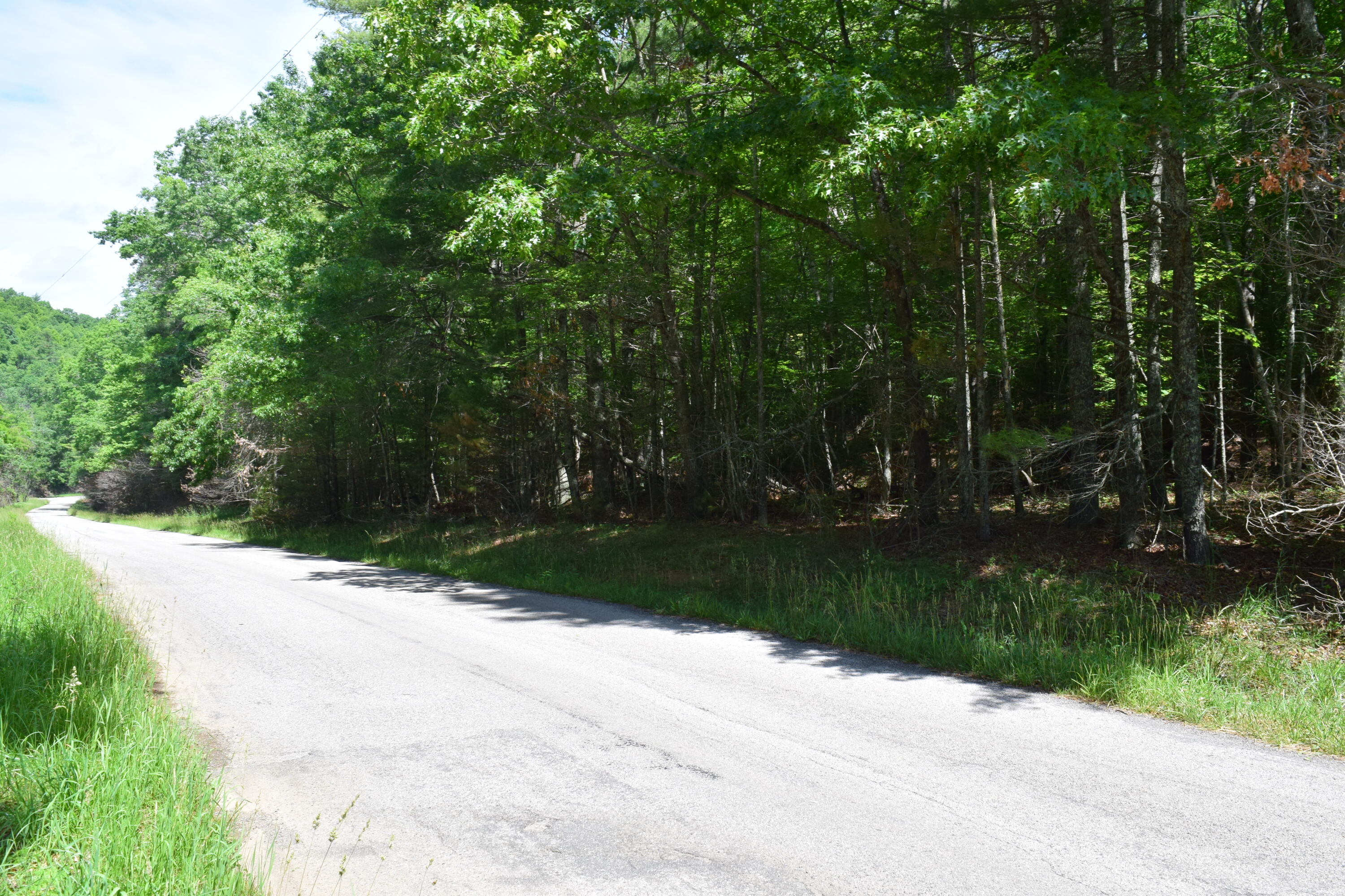 1866 Firehouse Road Northwest Willis, VA 24380 - Photo 5 of 78 DSC_1433