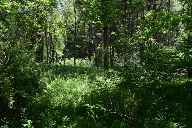 $460,000 | 1866 Firehouse Road Northwest, Willis, VA 24380