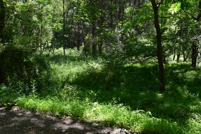 $460,000 | 1866 Firehouse Road Northwest, Willis, VA 24380