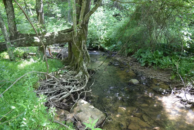 $460,000 | 1866 Firehouse Road Northwest, Willis, VA 24380