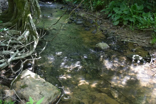 $460,000 | 1866 Firehouse Road Northwest, Willis, VA 24380