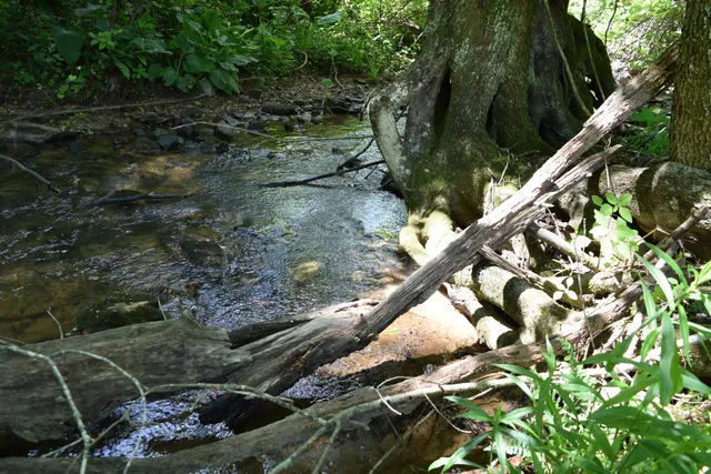 $460,000 | 1866 Firehouse Road Northwest, Willis, VA 24380