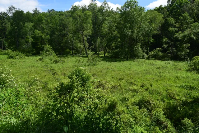 $460,000 | 1866 Firehouse Road Northwest, Willis, VA 24380