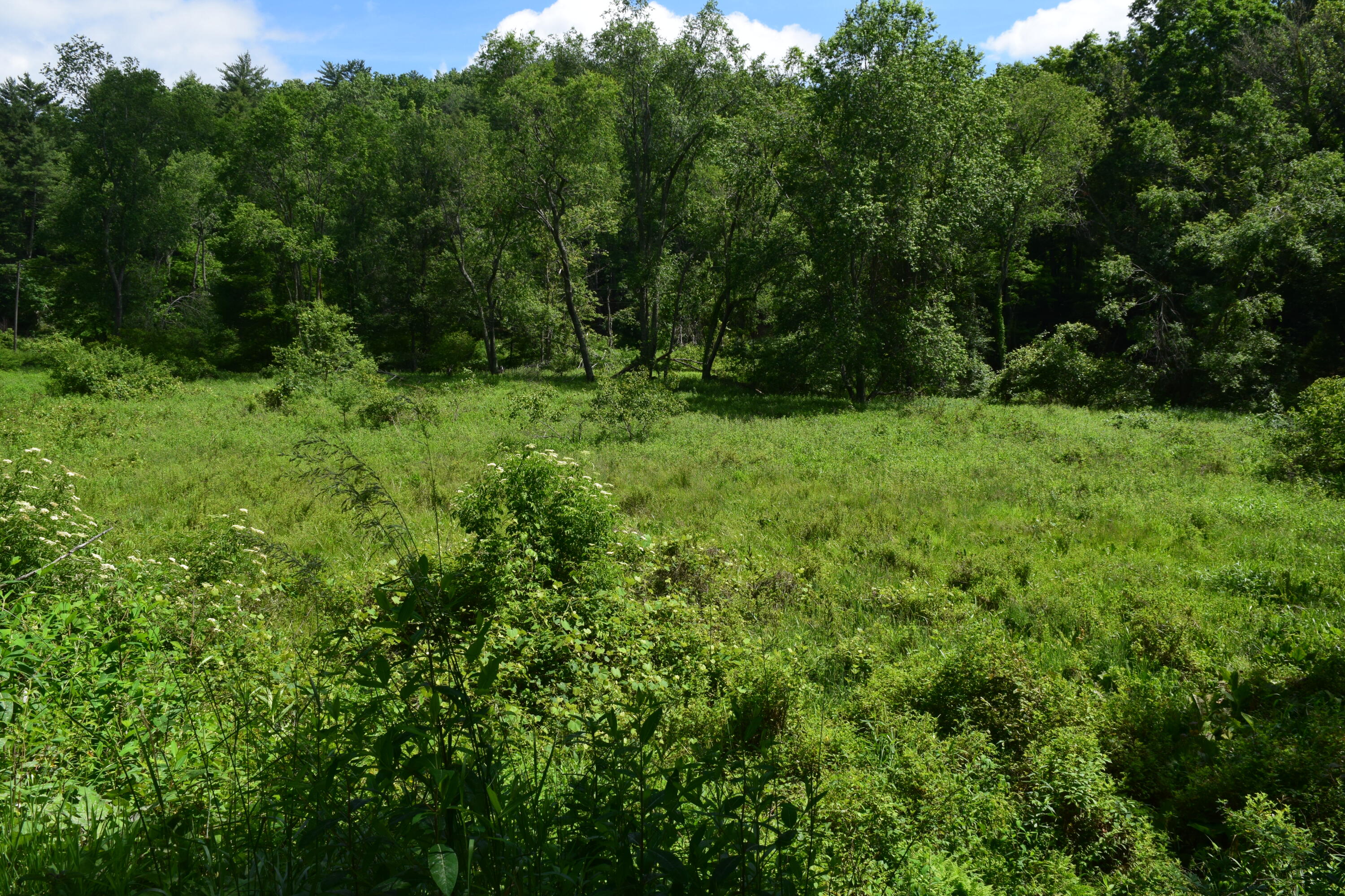 1866 Firehouse Road Northwest Willis, VA 24380 - Photo 60 of 78 a view of outdoor space and yard