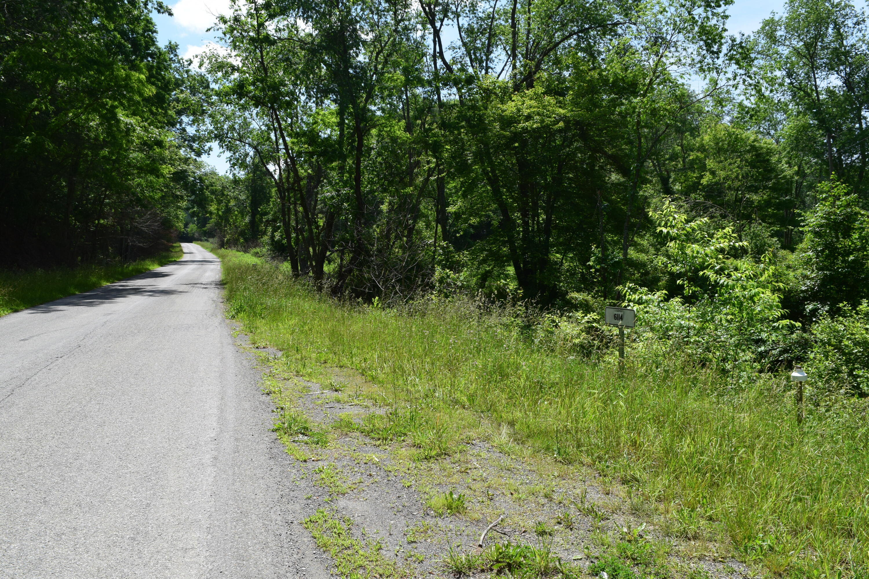 1866 Firehouse Road Northwest Willis, VA 24380 - Photo 6 of 78 a view of a yard with plants and a trees
