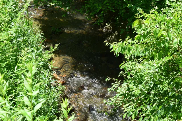 $460,000 | 1866 Firehouse Road Northwest, Willis, VA 24380