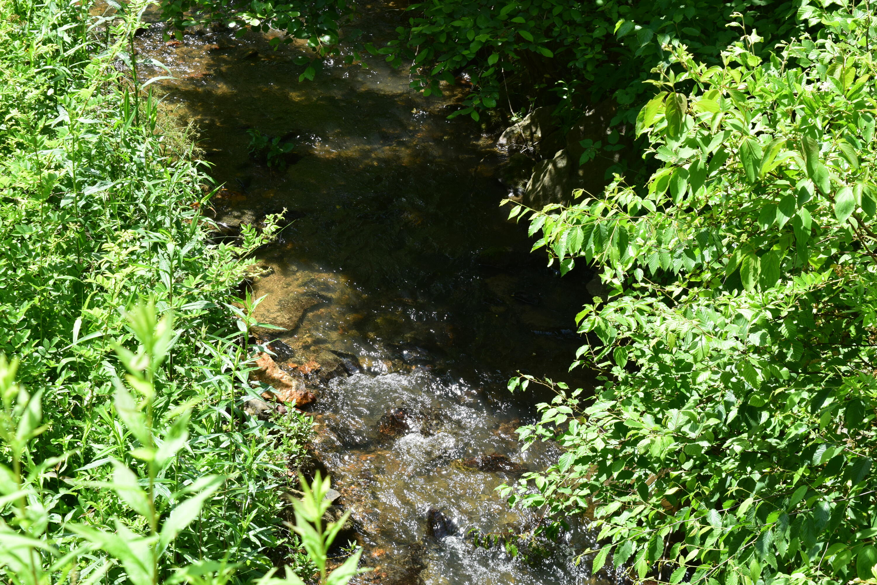 1866 Firehouse Road Northwest Willis, VA 24380 - Photo 62 of 78 DSC_1426