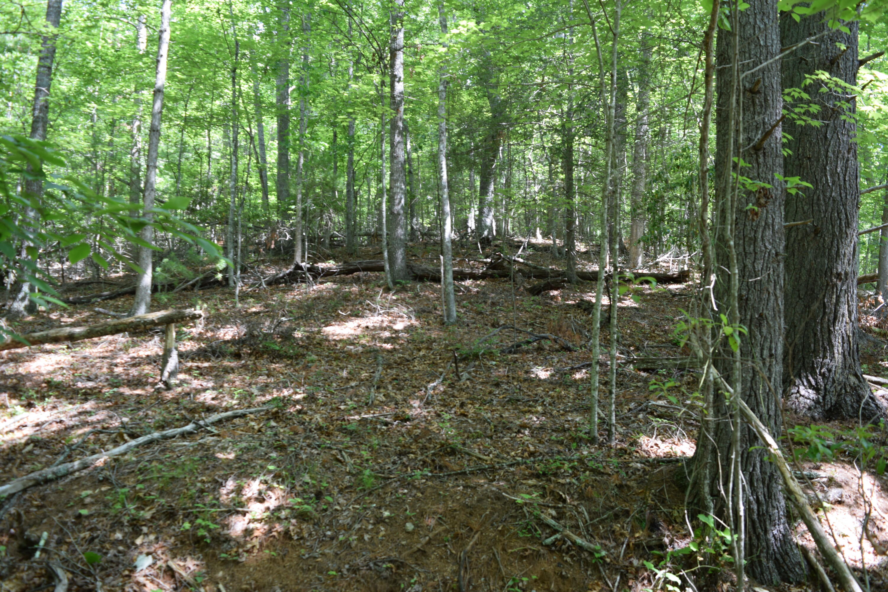 1866 Firehouse Road Northwest Willis, VA 24380 - Photo 63 of 78 DSC_1434