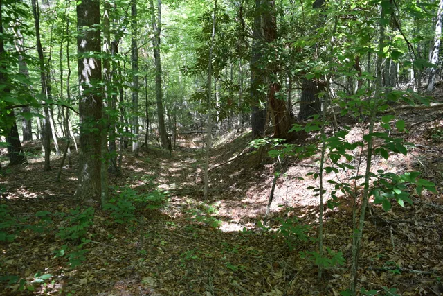 $460,000 | 1866 Firehouse Road Northwest, Willis, VA 24380