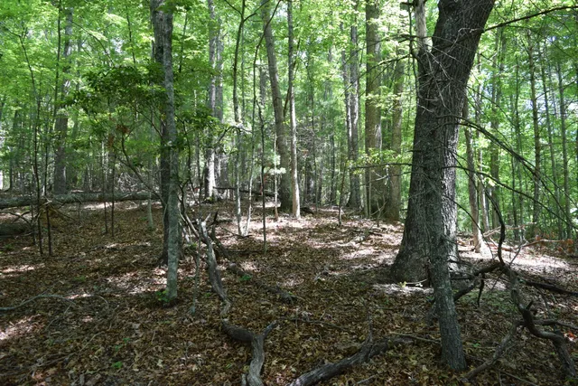 $460,000 | 1866 Firehouse Road Northwest, Willis, VA 24380