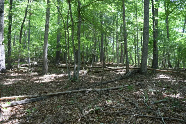 $460,000 | 1866 Firehouse Road Northwest, Willis, VA 24380