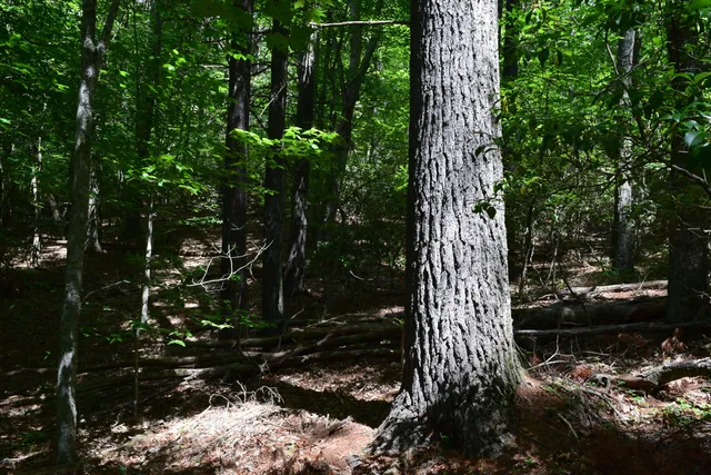 $460,000 | 1866 Firehouse Road Northwest, Willis, VA 24380