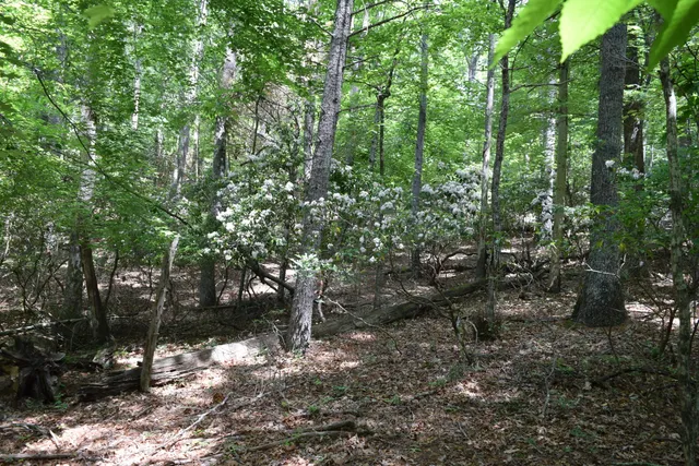 $460,000 | 1866 Firehouse Road Northwest, Willis, VA 24380