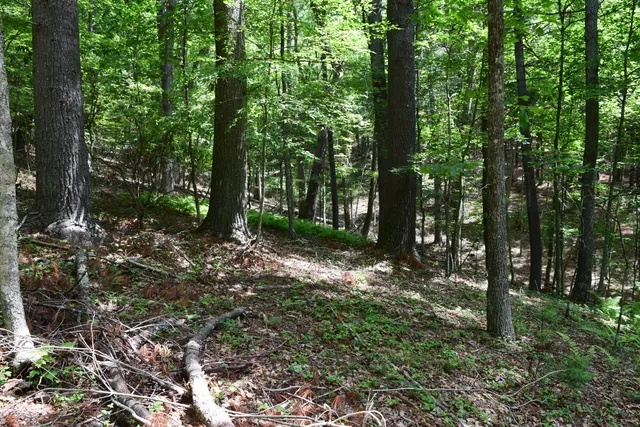 $460,000 | 1866 Firehouse Road Northwest, Willis, VA 24380