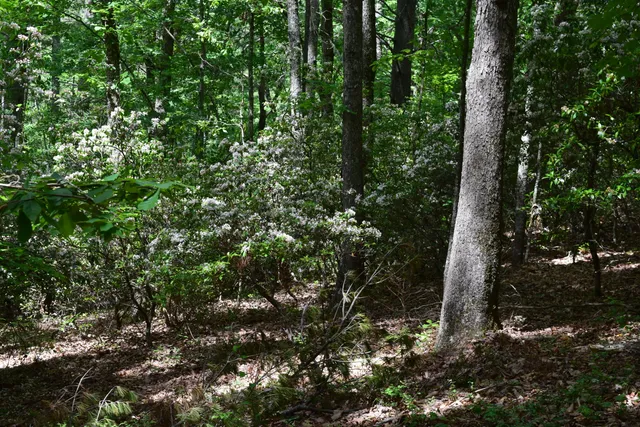 $460,000 | 1866 Firehouse Road Northwest, Willis, VA 24380