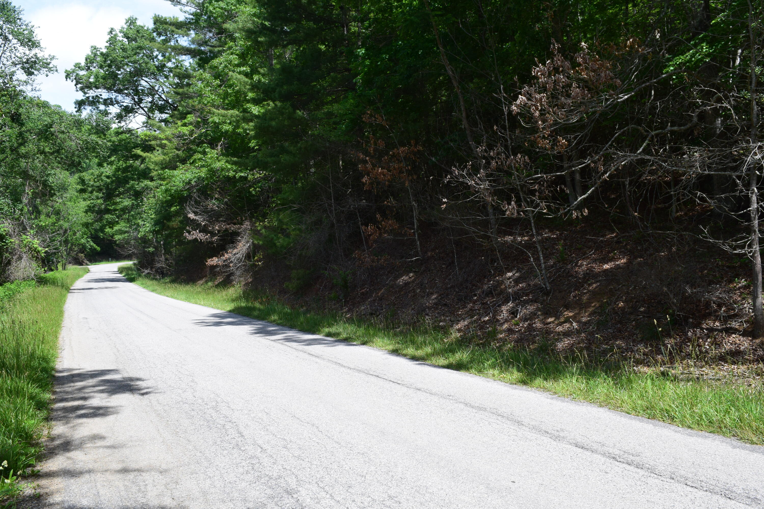 1866 Firehouse Road Northwest Willis, VA 24380 - Photo 75 of 78 a view of a street both side of a house