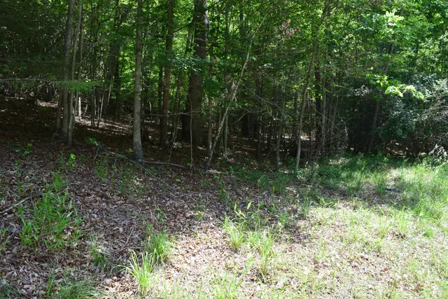 $460,000 | 1866 Firehouse Road Northwest, Willis, VA 24380