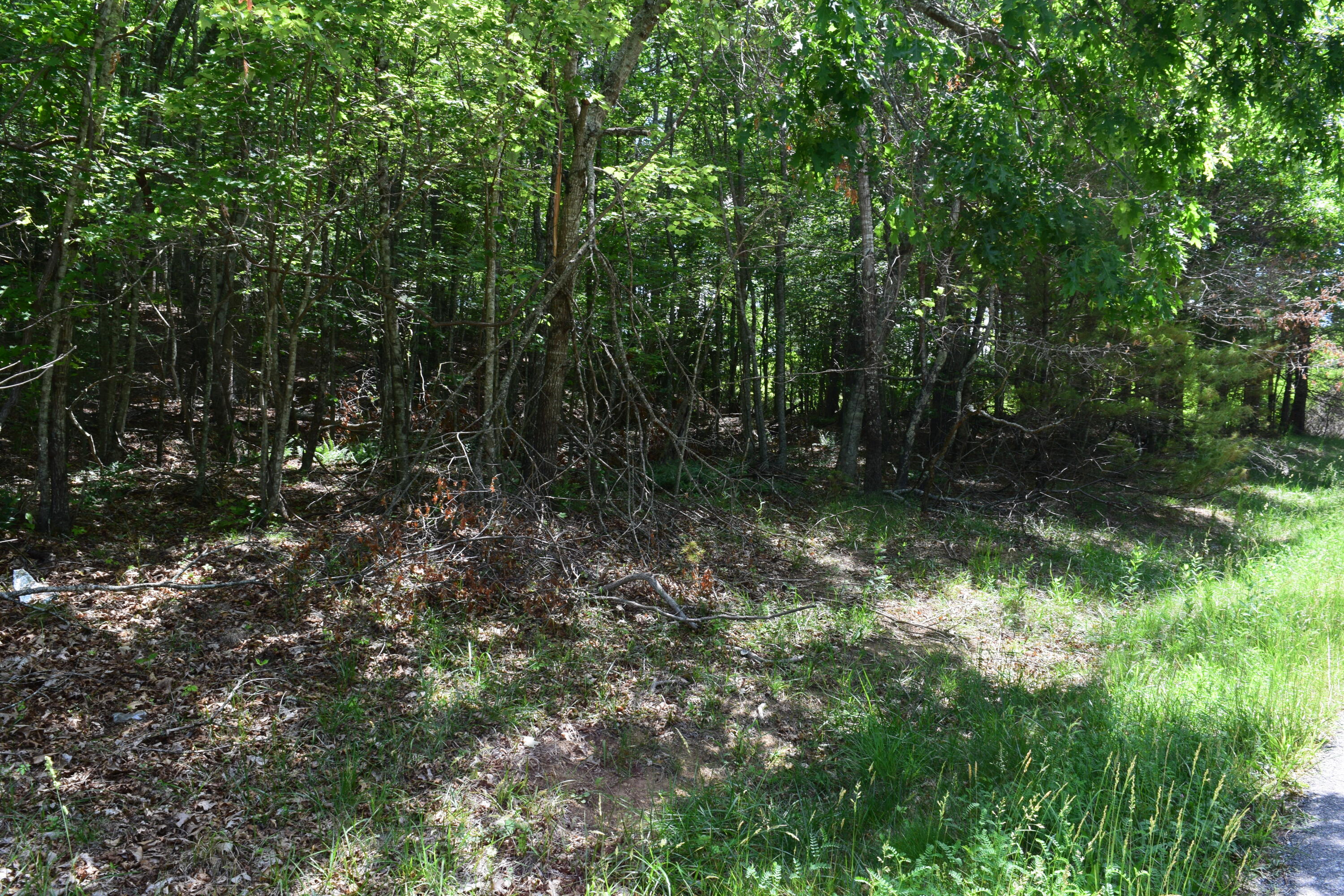 1866 Firehouse Road Northwest Willis, VA 24380 - Photo 77 of 78 a view of outdoor space with a lake view