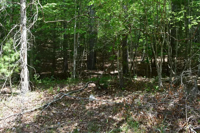 $460,000 | 1866 Firehouse Road Northwest, Willis, VA 24380