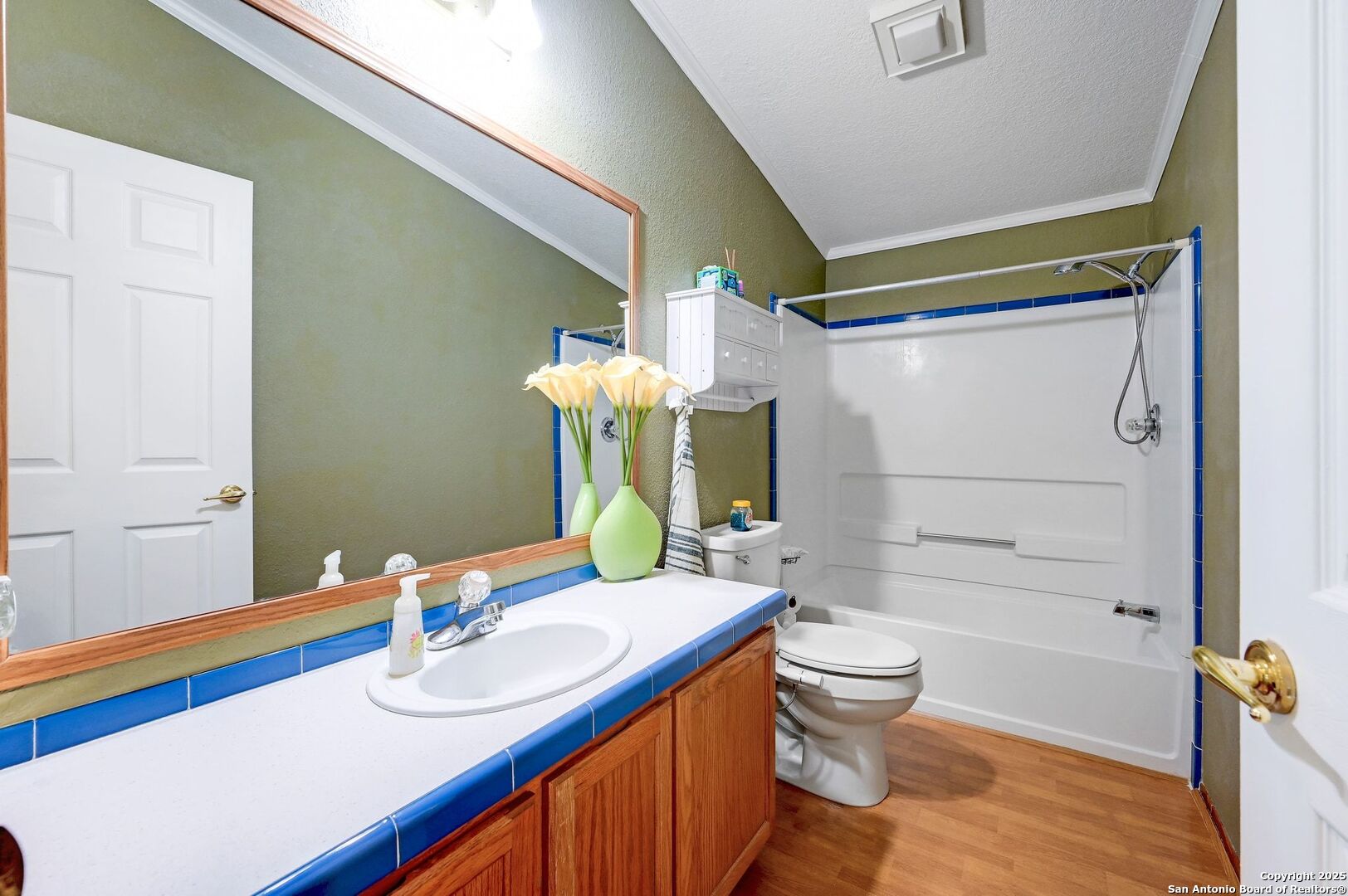 480 Rangeland Road Blanco, TX 78606 - Photo 18 of 26 a bathroom with a sink a toilet and shower