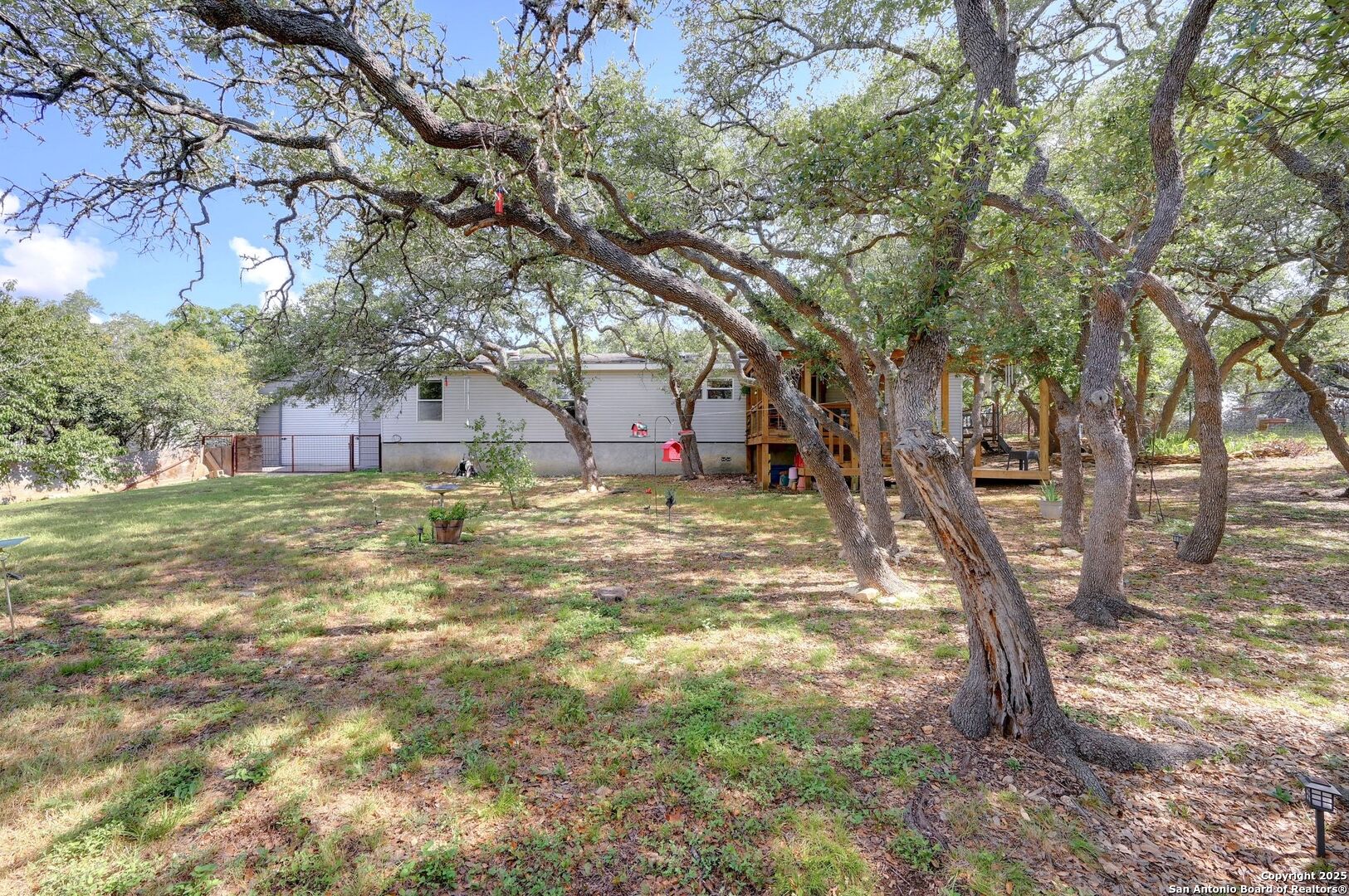 480 Rangeland Road Blanco, TX 78606 - Photo 22 of 26 a view of large tree in front of a house