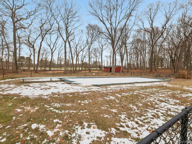 a view of a yard with trees