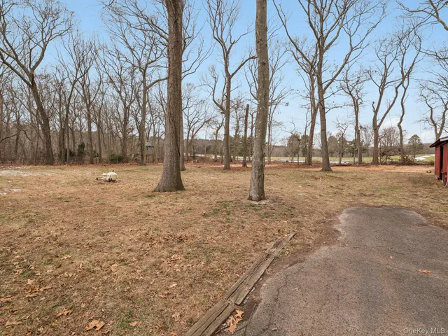 a view of empty space with trees
