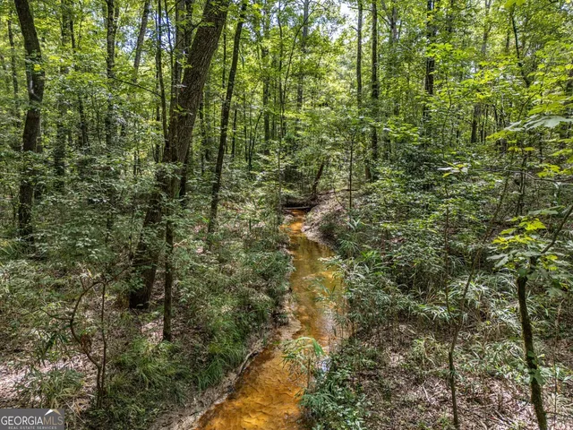 a view of a yard with plants and wooden fence