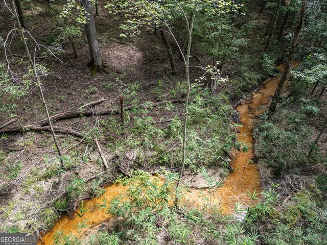 a view of a field with an ocean and mountain view